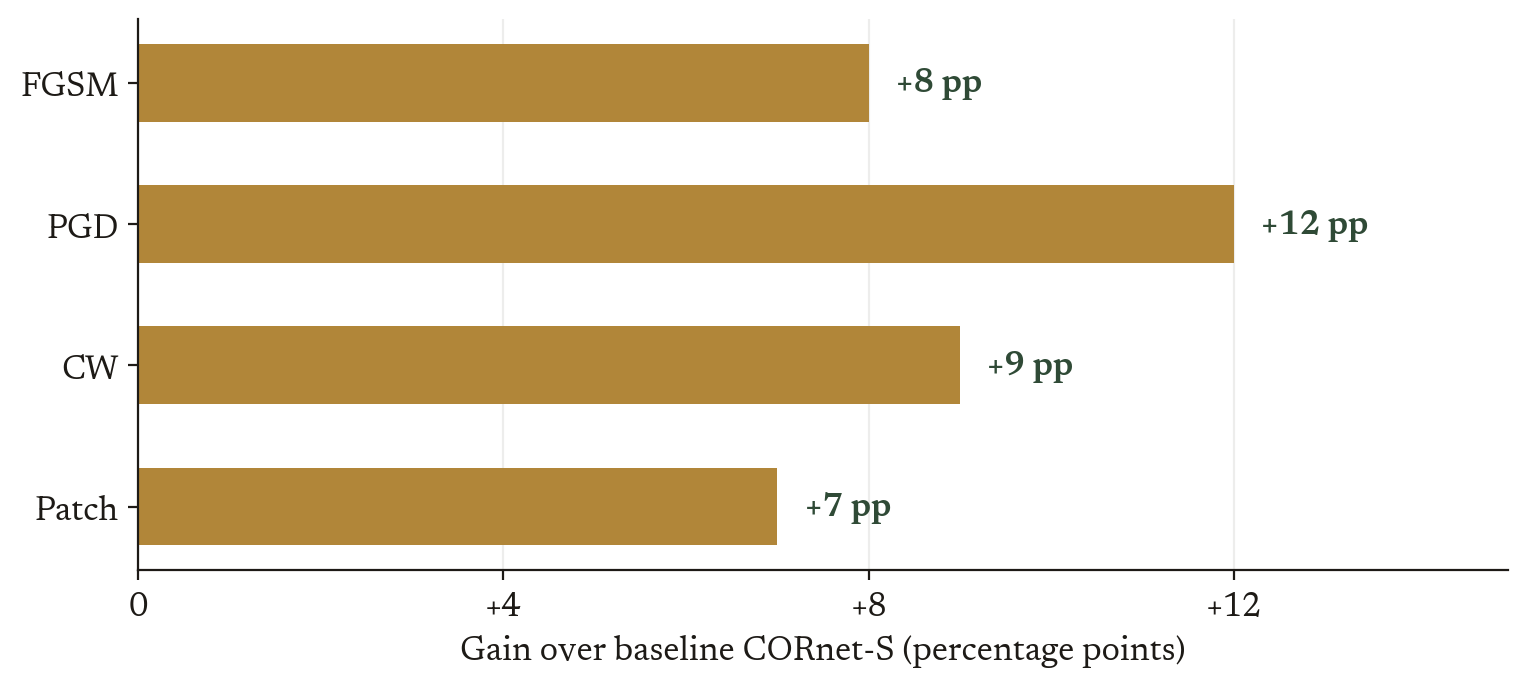 Horizontal bar chart of the gain in percentage points over baseline CORnet-S, on MNIST, across four attack families: FGSM +8, PGD +12, CW +9, Patch +7.