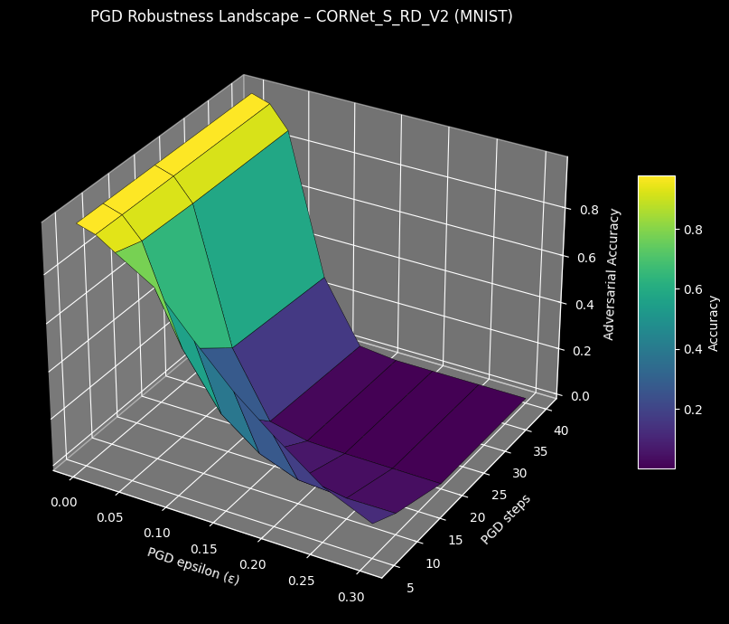 Adversarial Robustness